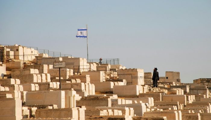 snowscat-JHTG-aVa3fA-unsplash