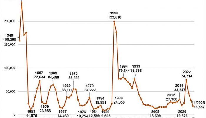 tree period of transformation