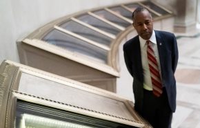 50032927008_82b1536852_k