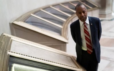 50032927008_82b1536852_k