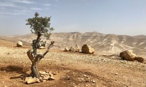 david-mclenachan-11kQ2vLtjE8-unsplash