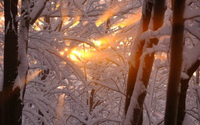 kristjan-kotar-S44Qiea6RY4-unsplash