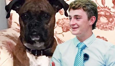 nick shirley and the dog voter