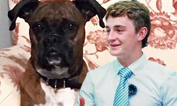 nick shirley and the dog voter