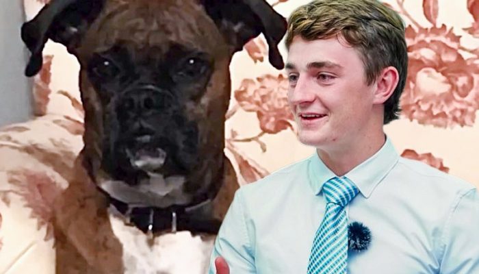 nick shirley and the dog voter