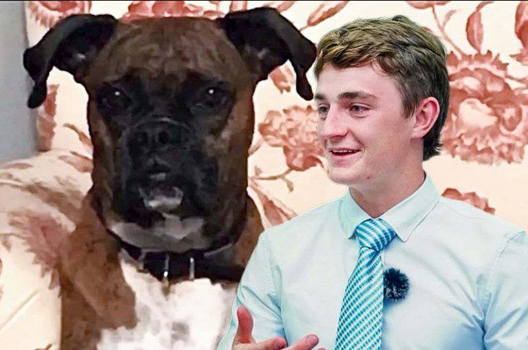 nick shirley and the dog voter