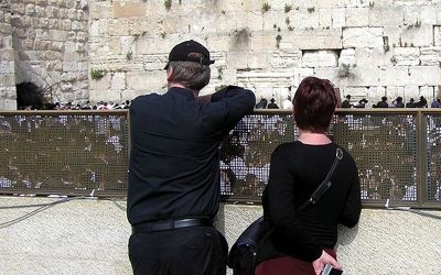 senia waldberg o dengax