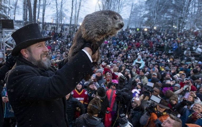 surok Phill