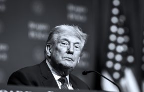 55112141529_3f225ae1e9_k