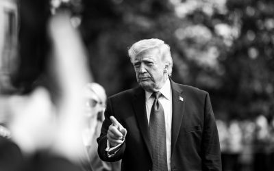 55143964264_f00d04ab56_c