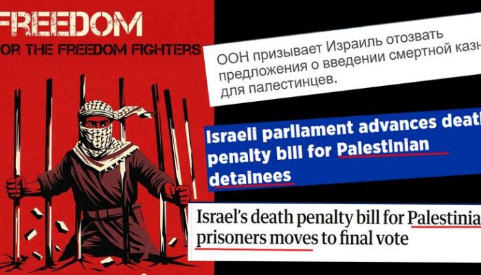 freed for freed figters