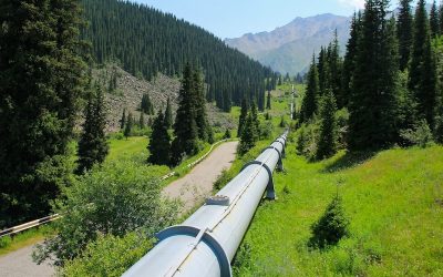 gwangjin-go-QaiAaGH6tGQ-unsplash