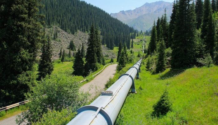 gwangjin-go-QaiAaGH6tGQ-unsplash