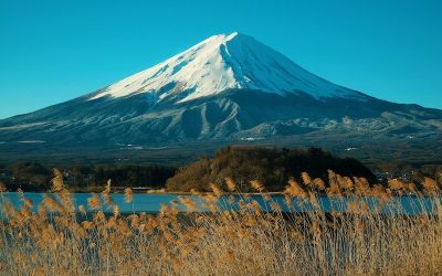 luke-robinson-esOlM9F7KM0-unsplash