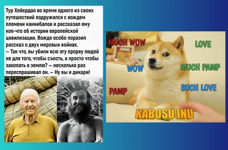 tur and kabosu inu
