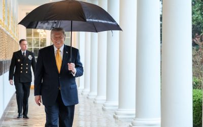 55154601381_ff4b27bc03_k