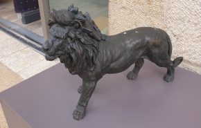 669413692lion