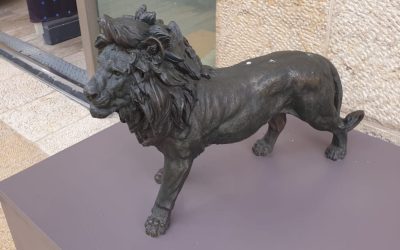 669413692lion