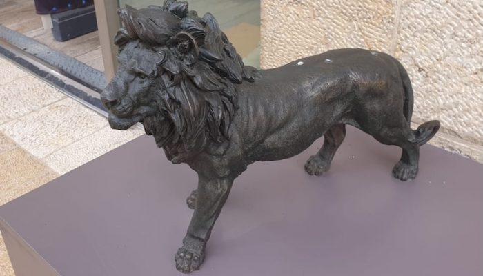 669413692lion