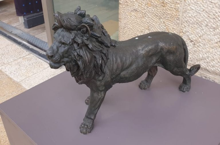 669413692lion