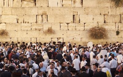 bruno-aguirre-TgUs0JOtXZA-unsplash