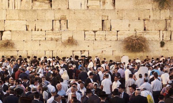 bruno-aguirre-TgUs0JOtXZA-unsplash