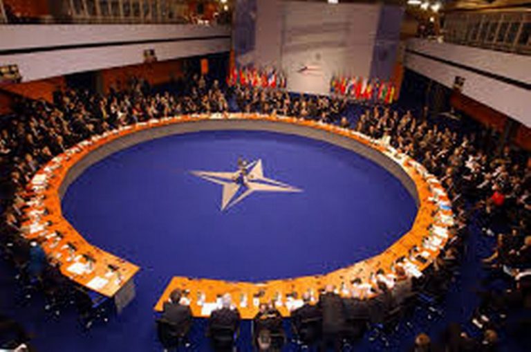 lurie nato
