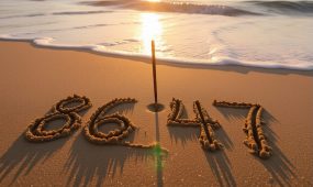 xyD1tEeeSF8BDXIy3TGI–0–2j62f