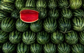crina-miriam-cretu-ynp_0R23rQ4-unsplash