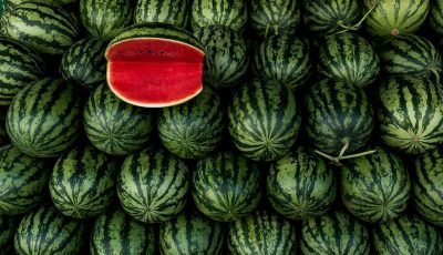 crina-miriam-cretu-ynp_0R23rQ4-unsplash