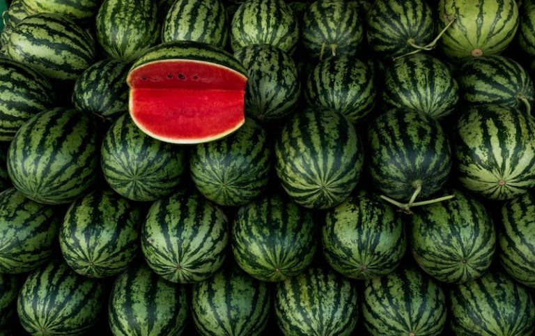 crina-miriam-cretu-ynp_0R23rQ4-unsplash