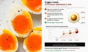 eggs and alltzhimer