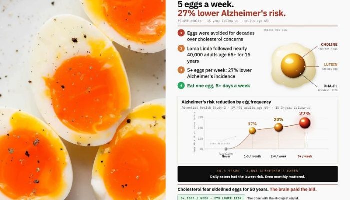 eggs and alltzhimer
