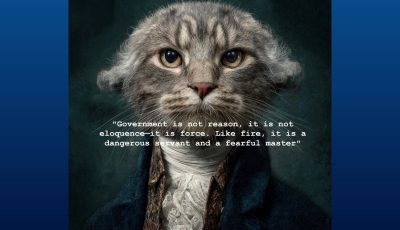 government_is_not_reason