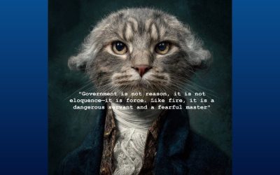 government_is_not_reason