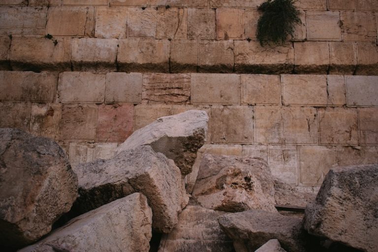 levi-meir-clancy-6CbQVo07XZE-unsplash