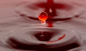 shibin-joseph-7XafrE4kYHQ-unsplash