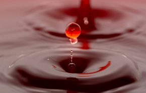 shibin-joseph-7XafrE4kYHQ-unsplash