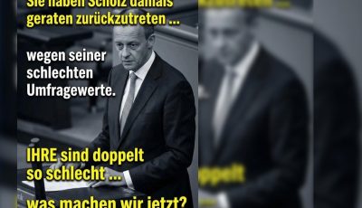 sie_haben_sholtz