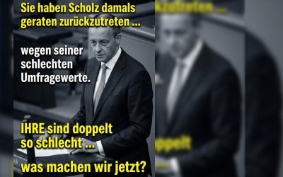 sie_haben_sholtz