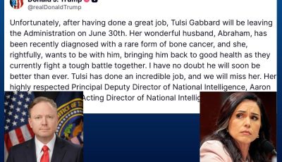 tulsi leaves prig