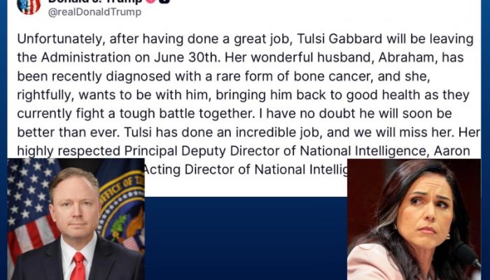 tulsi leaves prig