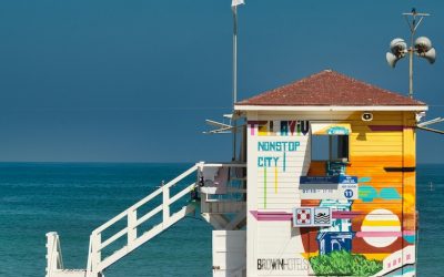 guy-tsror-lyFz8jsZxFg-unsplash