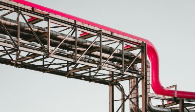 martin-adams-a_PDPUPuNZ8-unsplash
