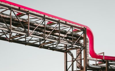 martin-adams-a_PDPUPuNZ8-unsplash