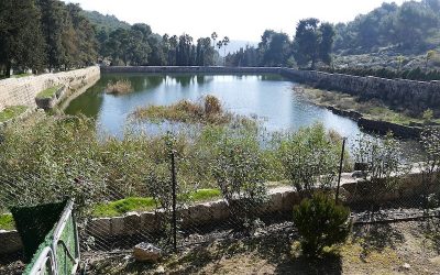 Solomons-Pools-MVIF-156