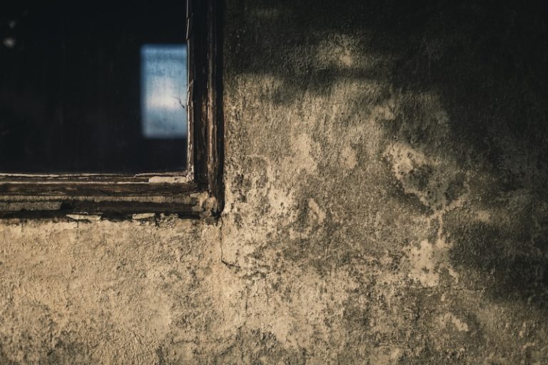 tim-mossholder-xbTGGS0PIGc-unsplash